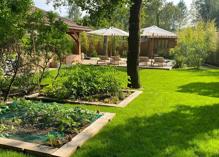 L Esprit Du Cap Belin-Beliet